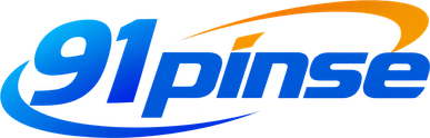 91pinse